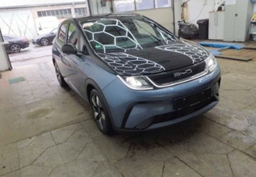 BYD DOLPHIN 13.543 km 29.200 &euro; Essen-Stadtbezirke VIII 45277