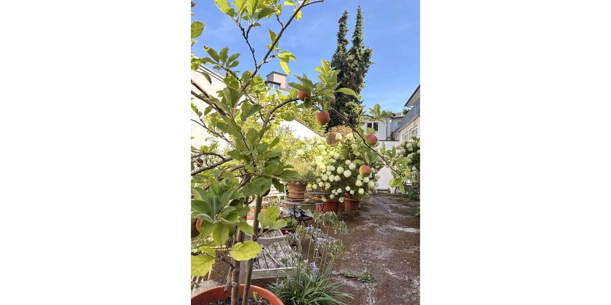 Etagenwohnung Haan - 3 Zimmer, 80 m&sup2;, 890&euro; | Angebot:27216923